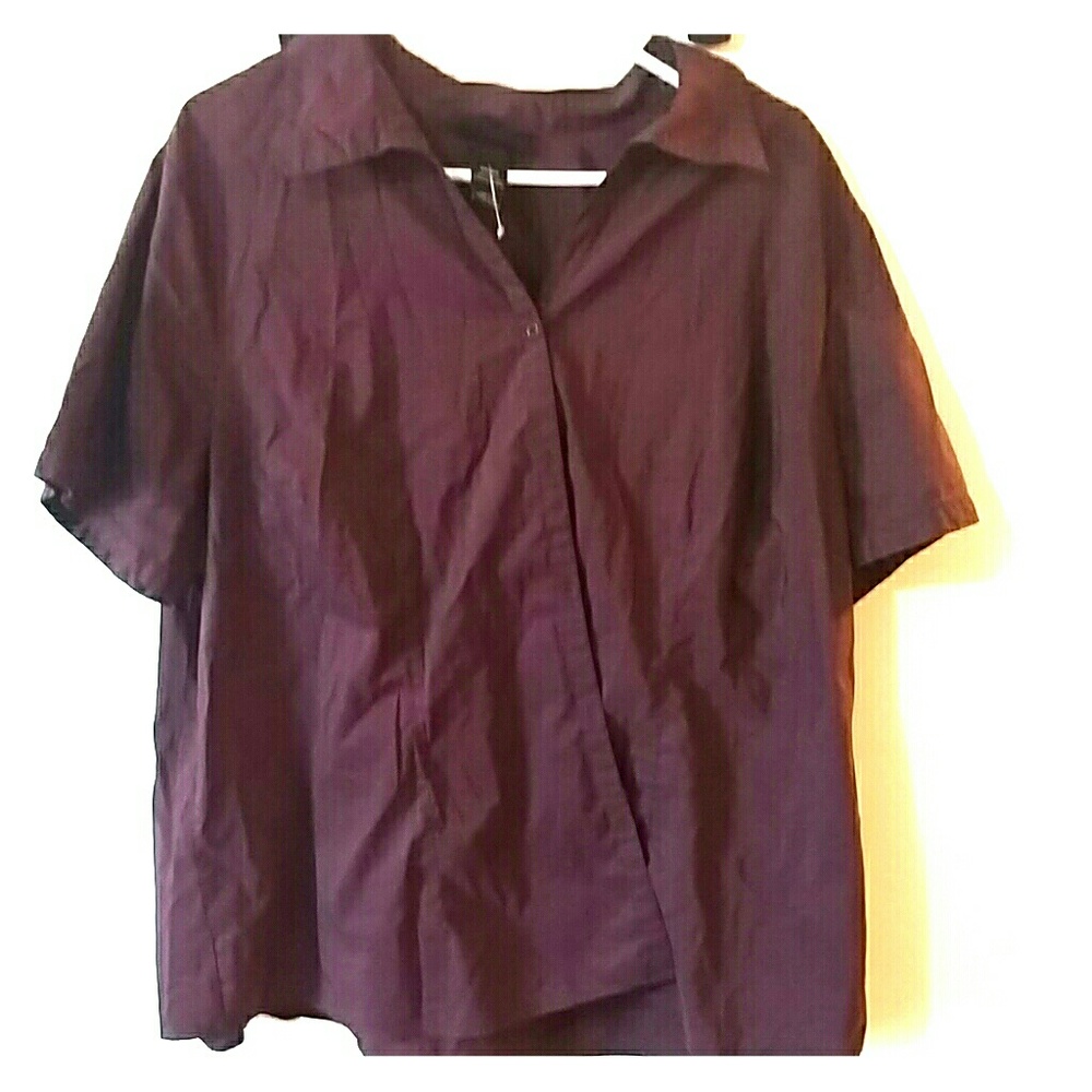 Lane Bryant 22/24 Purple Button Top